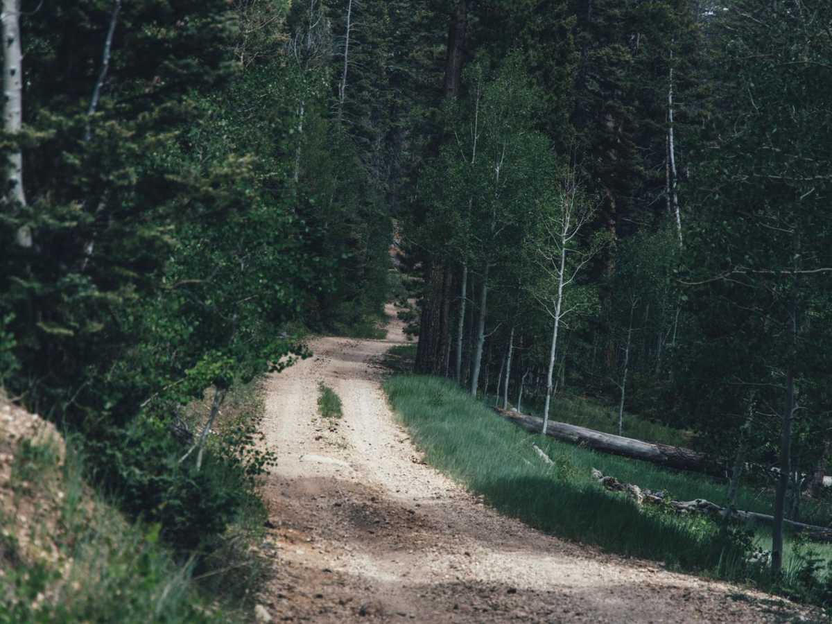 Oquer Canyon photo 4