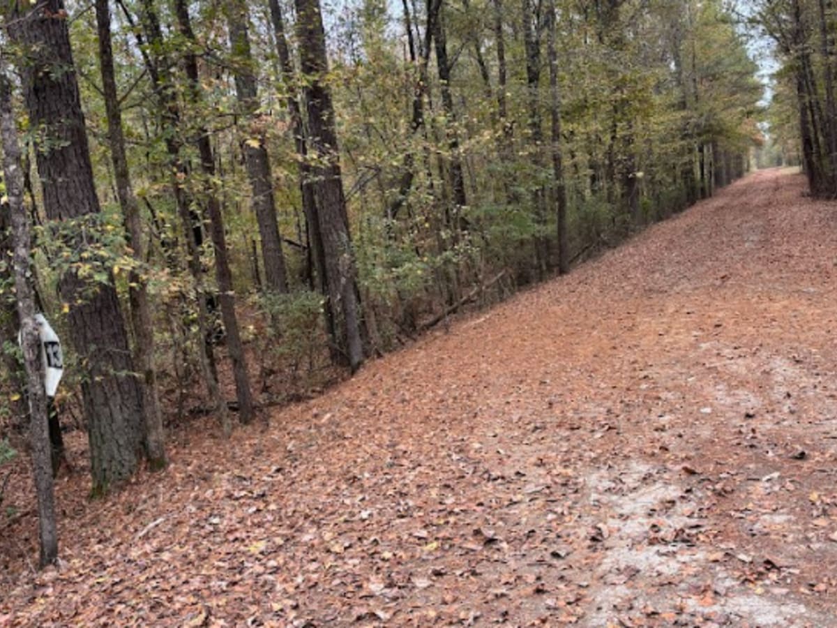 13 trail photo