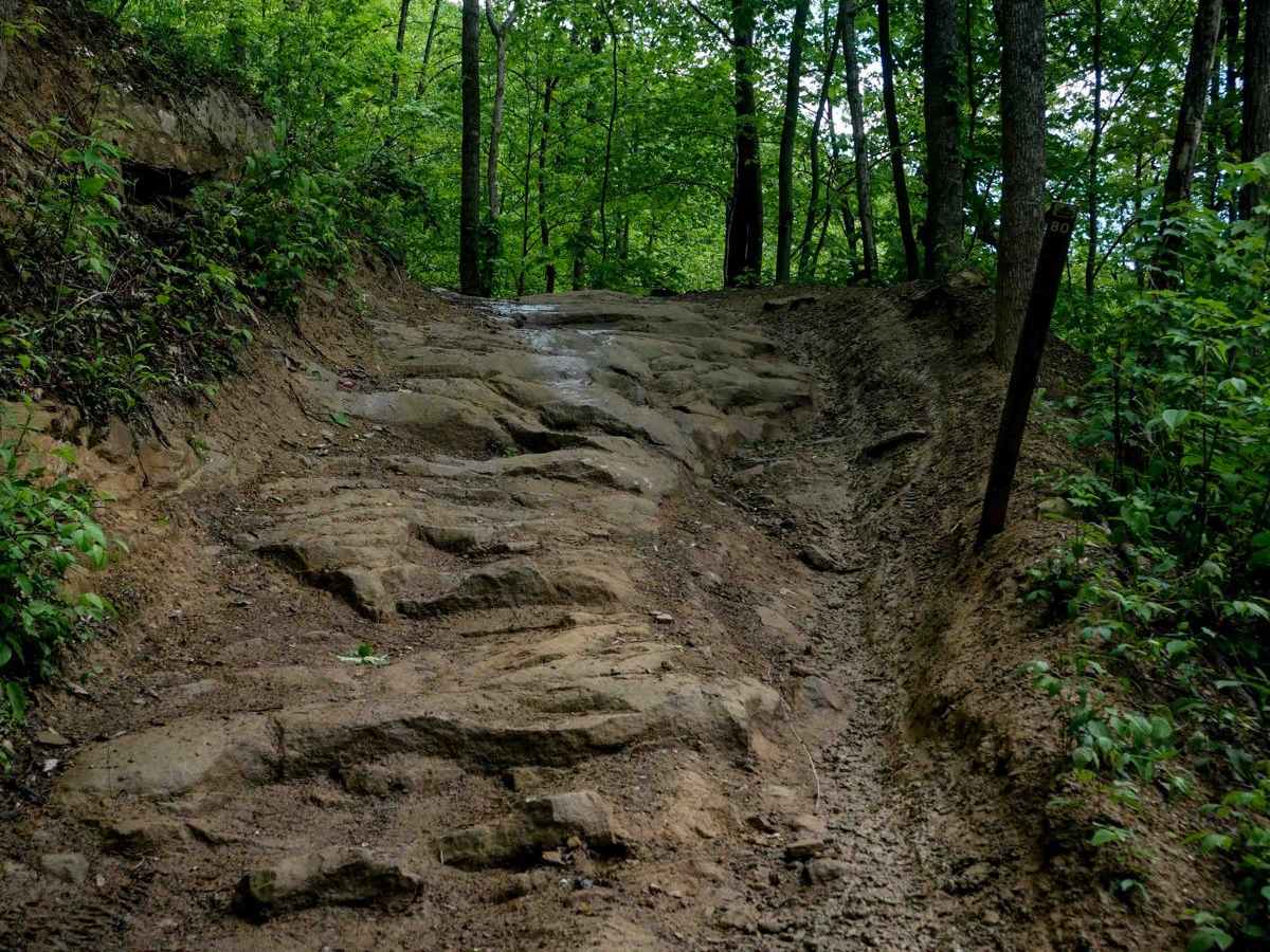 DA 80 trail photo