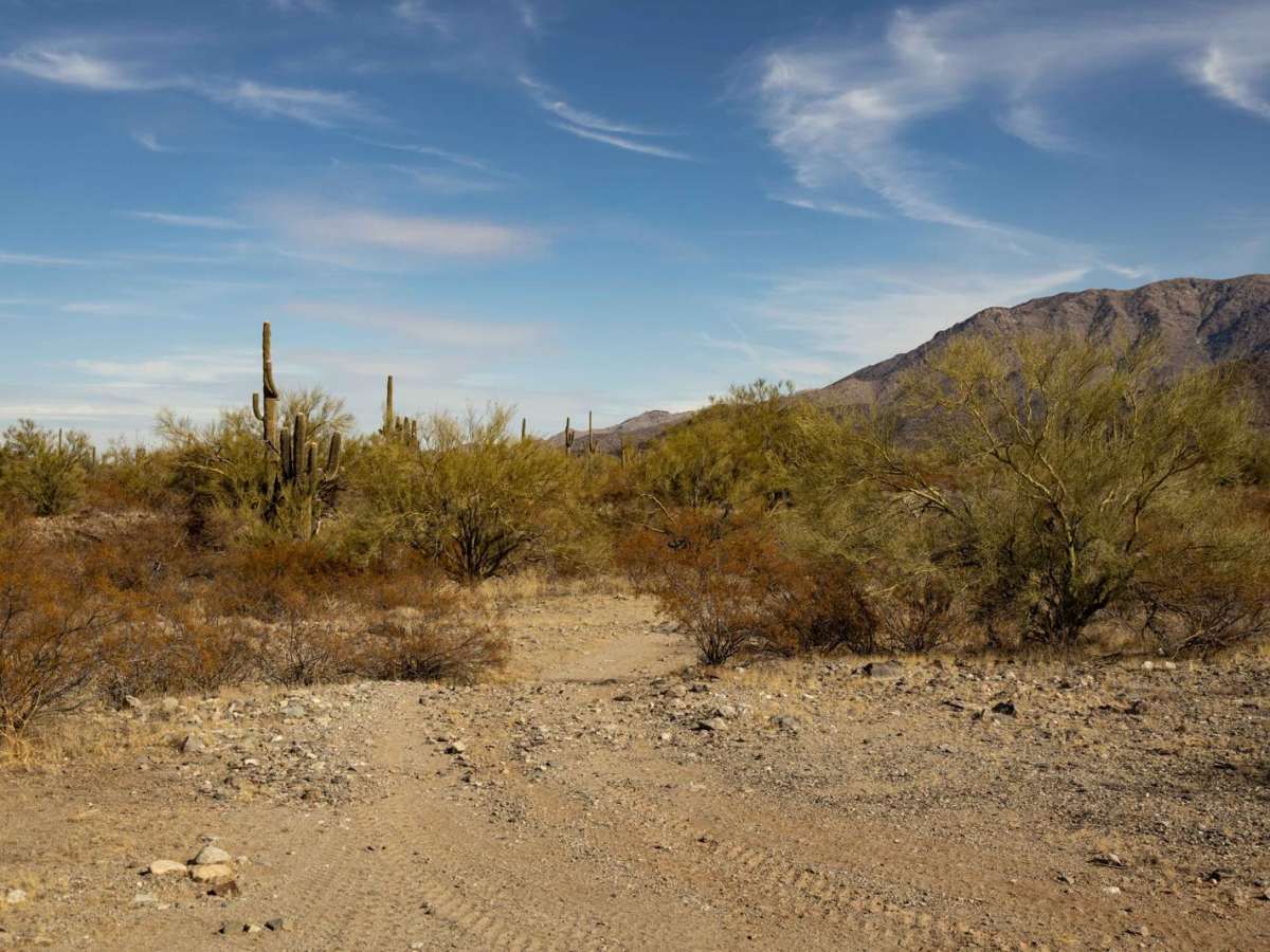 21183 Trail trail photo