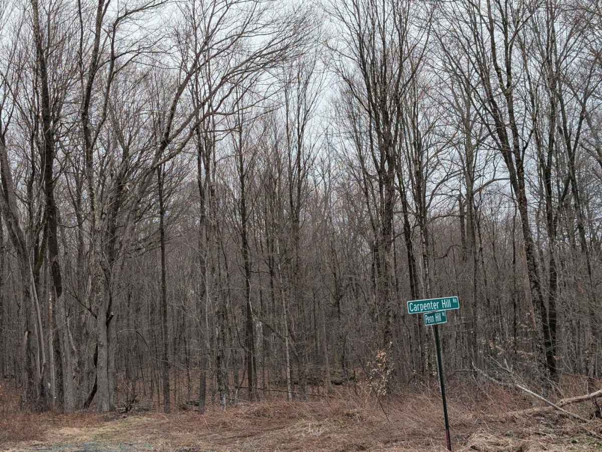 Slocum Hill Road trail photo
