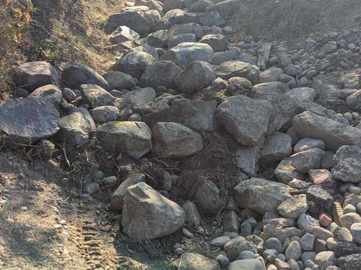 Catwalk Bypass and Rock Crawl photo 2