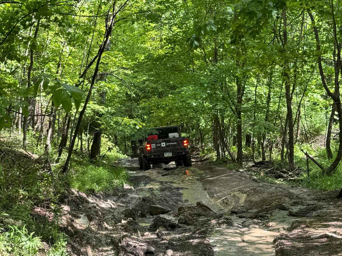 2105 Blue trail photo