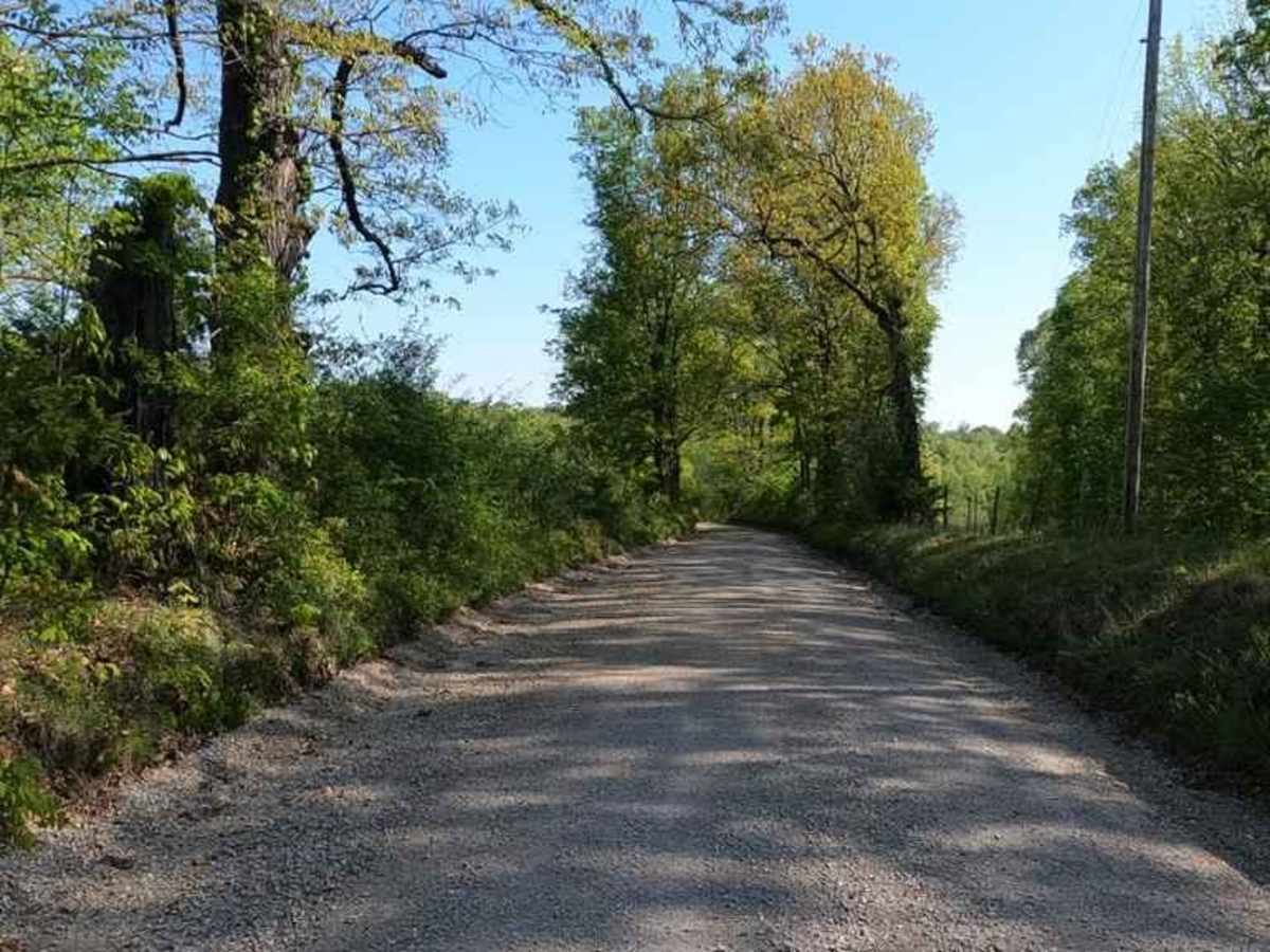 Lovejoy Creek Road photo 6