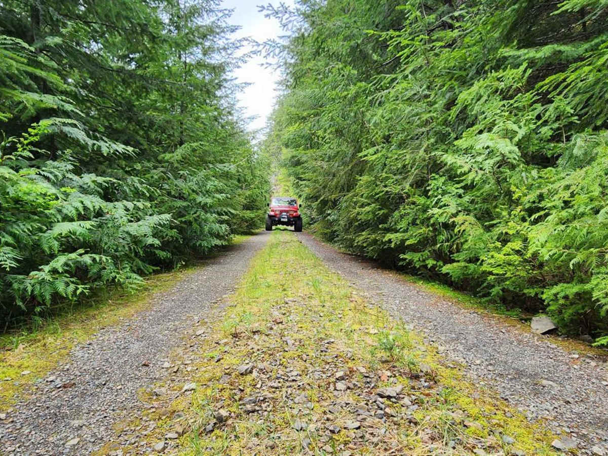 Dry Copper Creek Road photo 2
