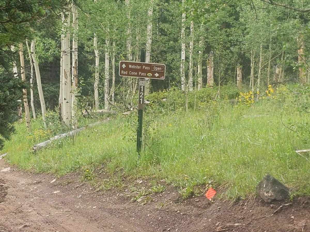 Handcart Gulch Road photo 3