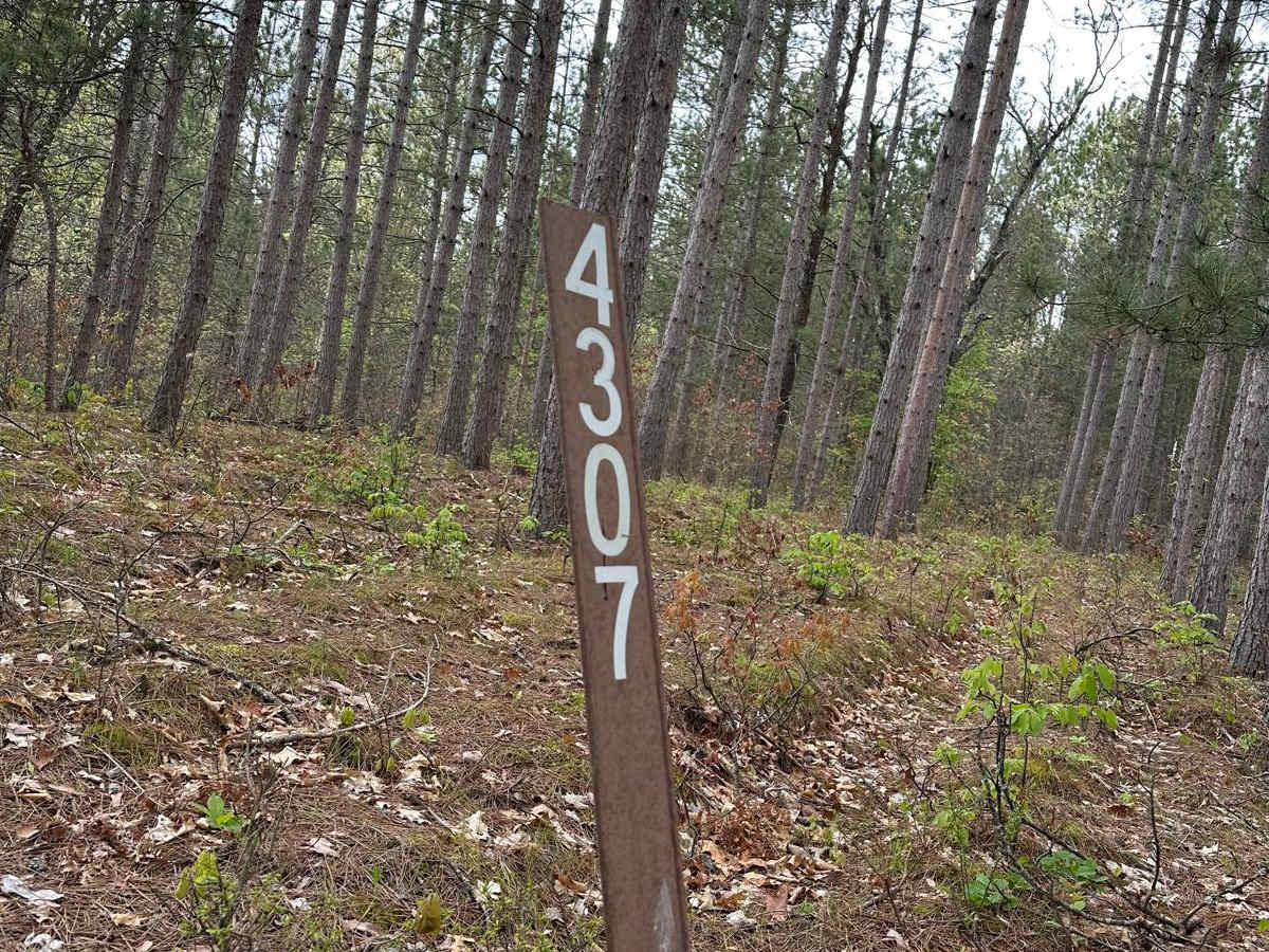 FS 4307 trail photo