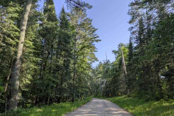 County Road 307