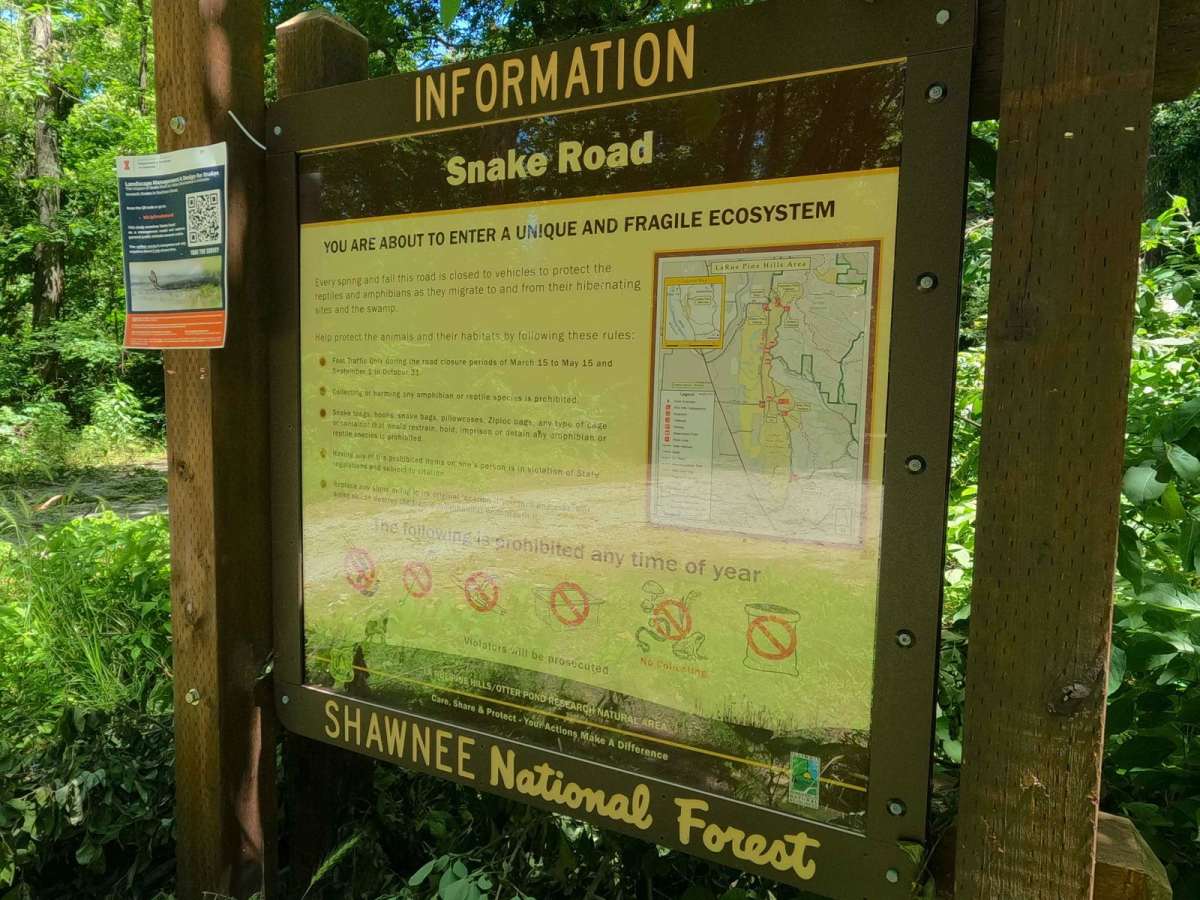 Snake Road - FS 345 trail photo