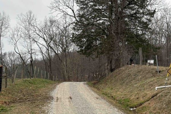 Sand Gap Road (FSR 731)