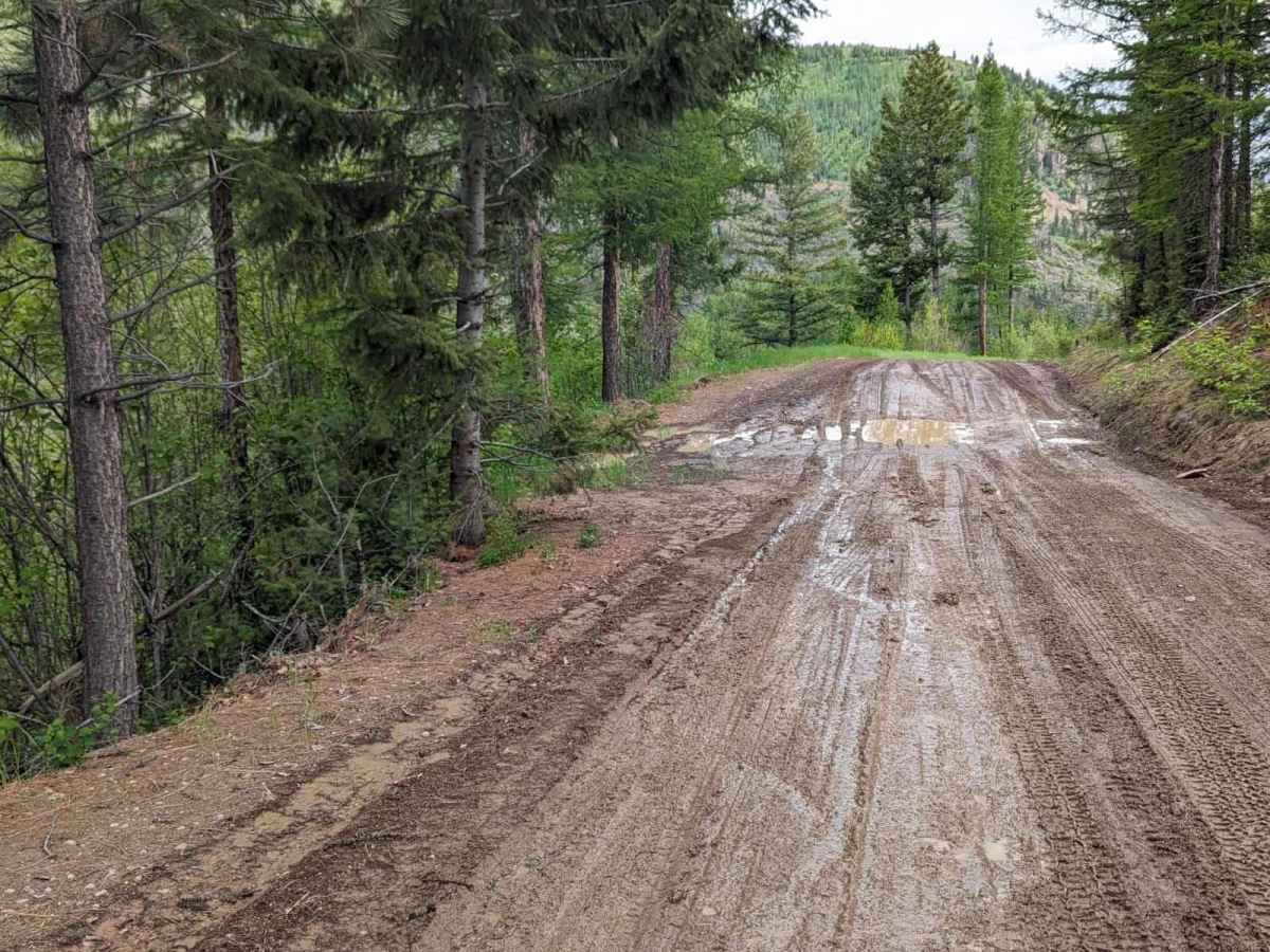 2103 West Fork Gold Creek photo 2