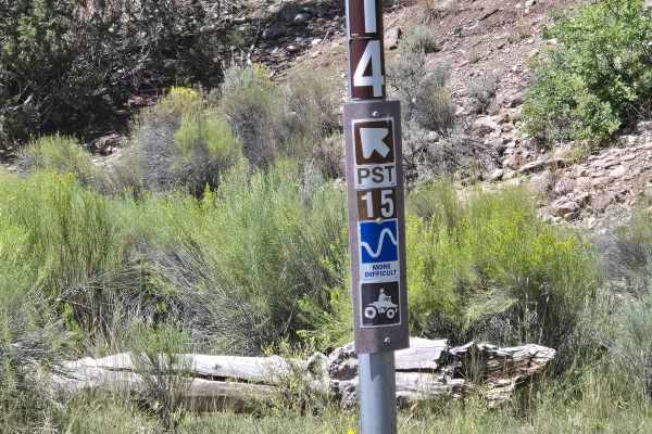 Forest Service 114