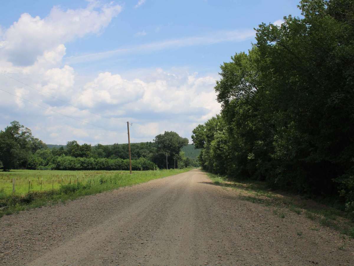 Moss Creek Road trail photo