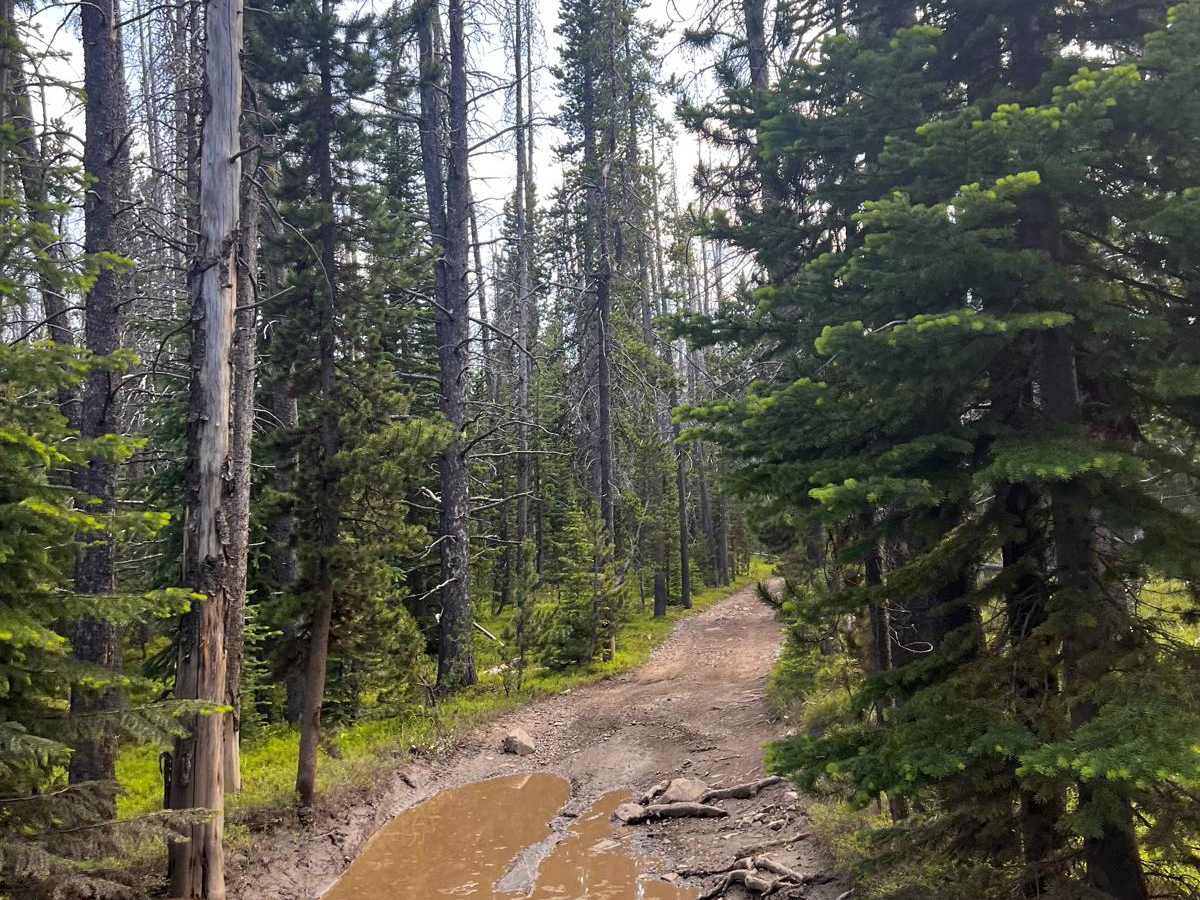 Prickly Pear to Tizer Lakes photo 3