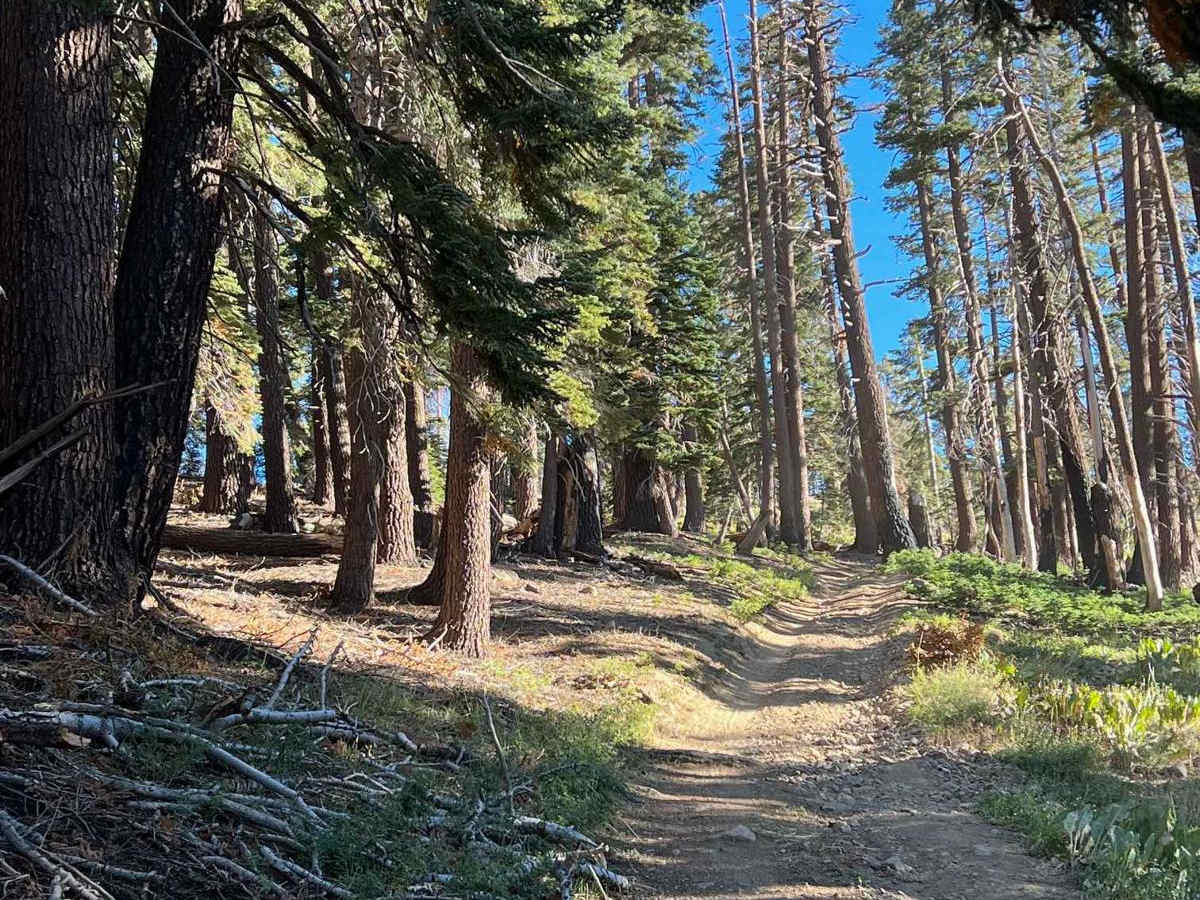 Eagle Peak 4x4 Trail photo 2