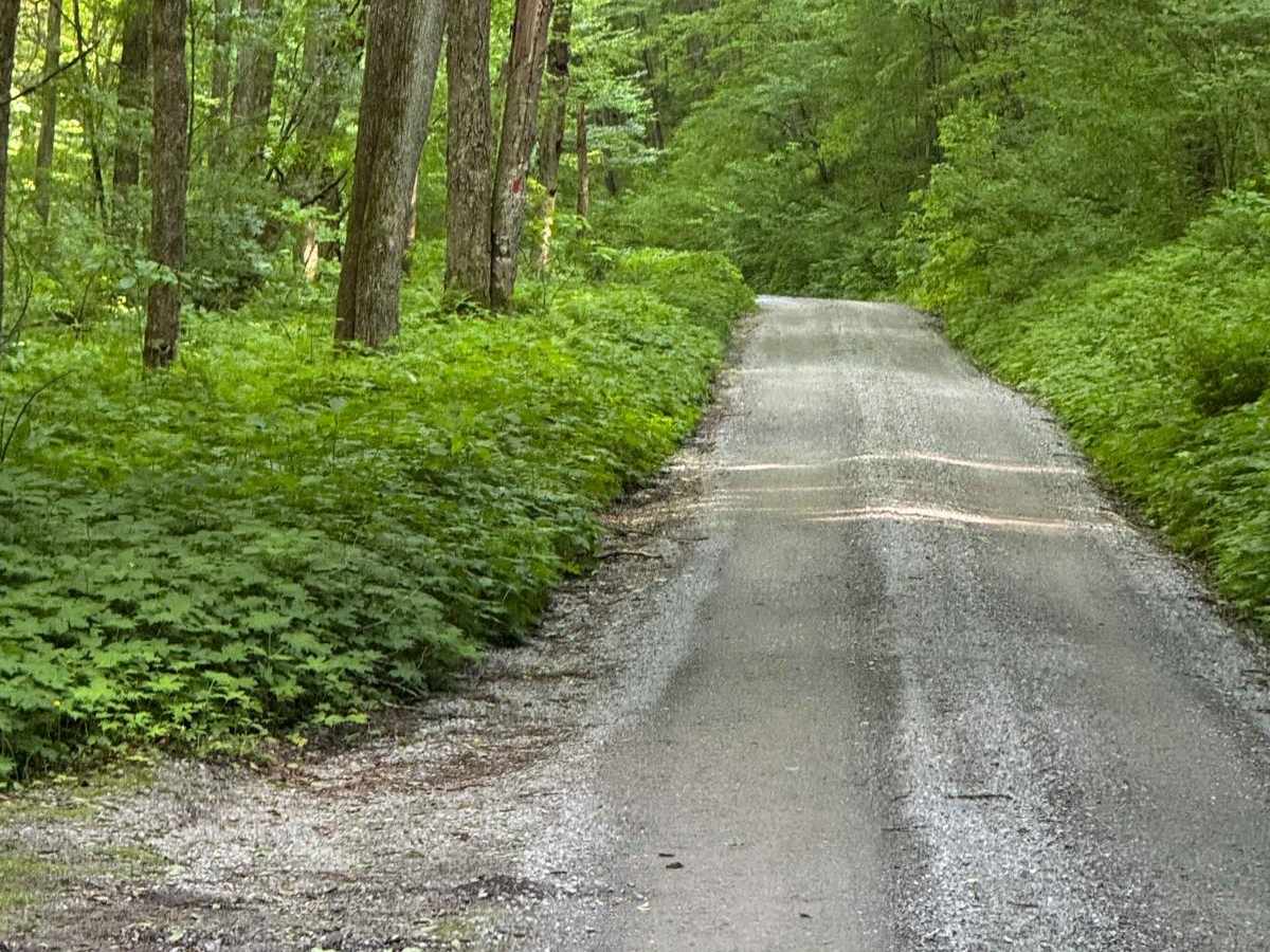 Benson Road photo 4