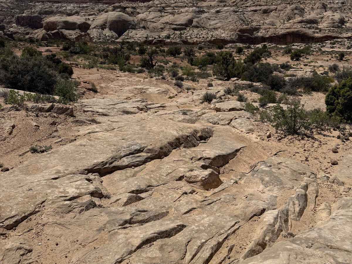 East Horseshoe Canyon photo 6