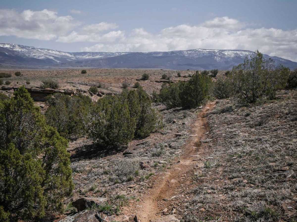 BLM Route 87 photo 3