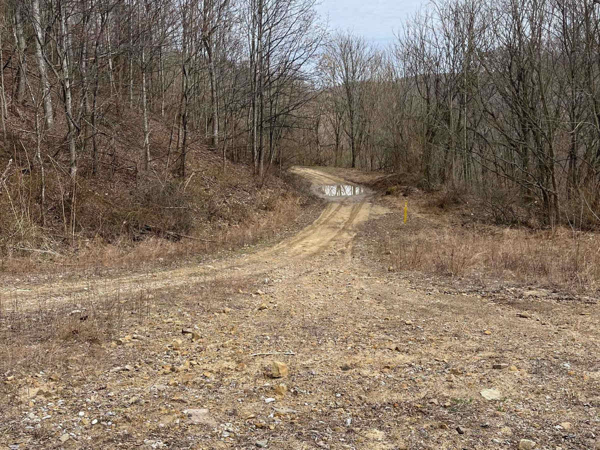 Trail 31 photo 5