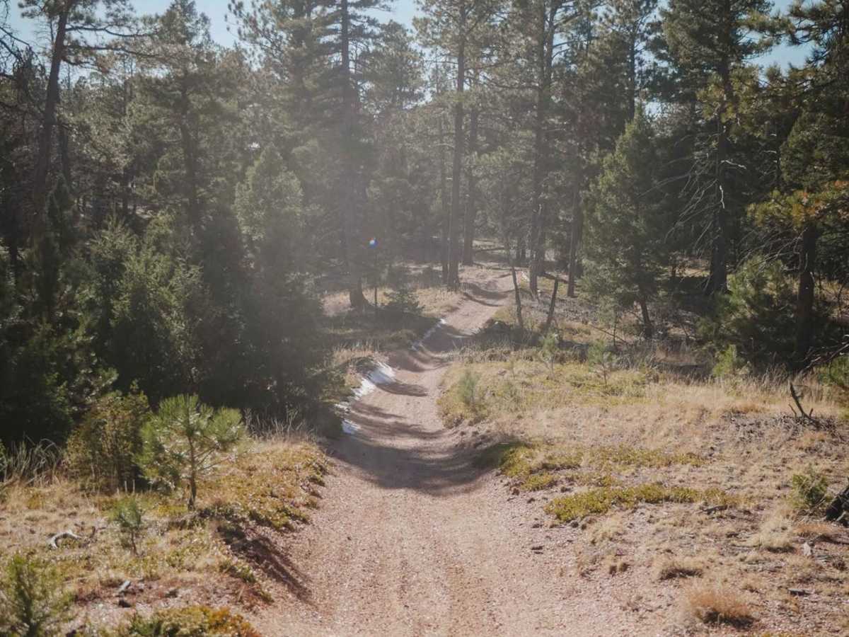 649 Trout Creek ATV Trail trail photo