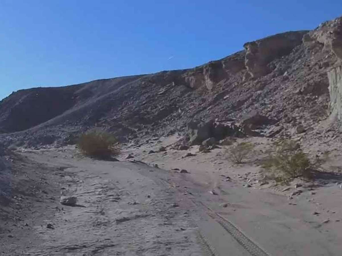 South Fork Palm Wash photo 3