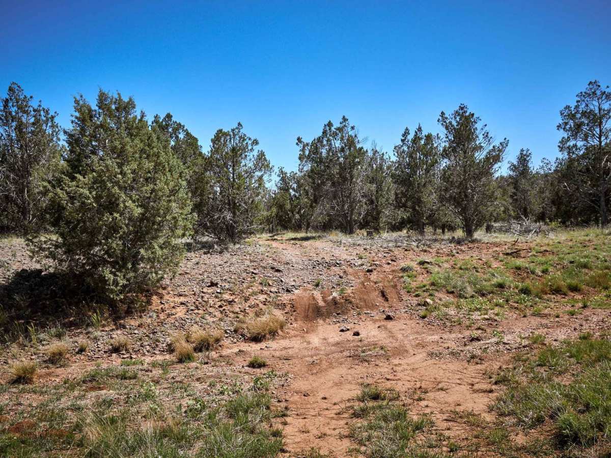 Solo Bypass trail photo