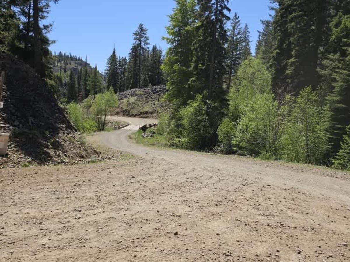 Lower Coleman Road trail photo