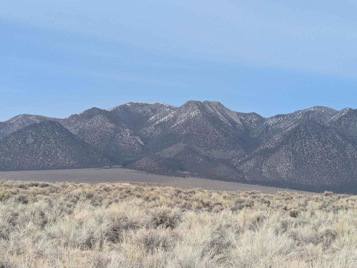 O'Harrel Cyn Spur - FS 3S47A photo 6