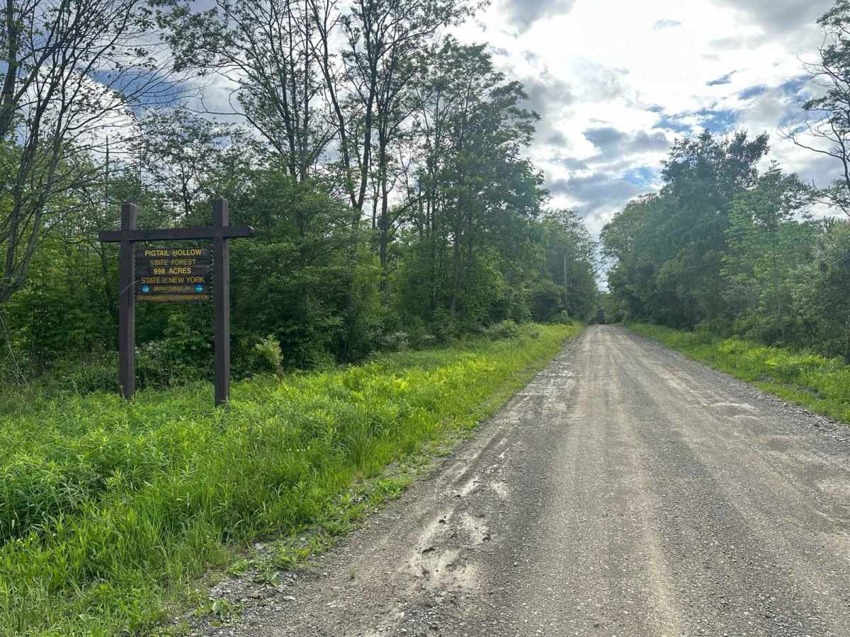 Hungry Hollow Road (Seasonal Section) photo 5