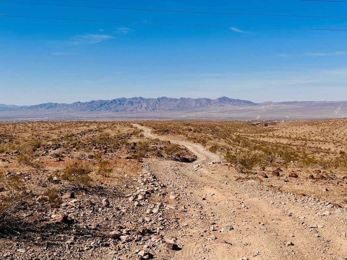 Wheeler Wagon Trail West photo 4