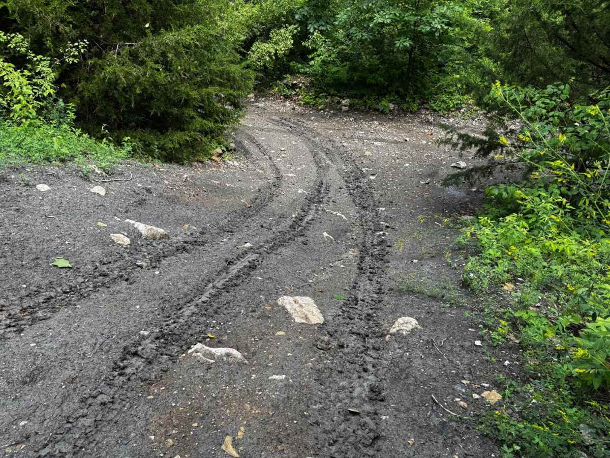 U Joint 202 trail photo