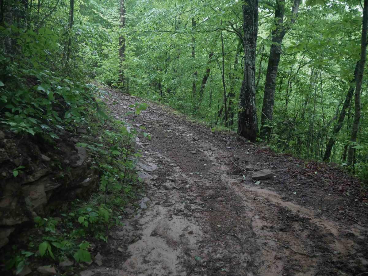 CC97 trail photo
