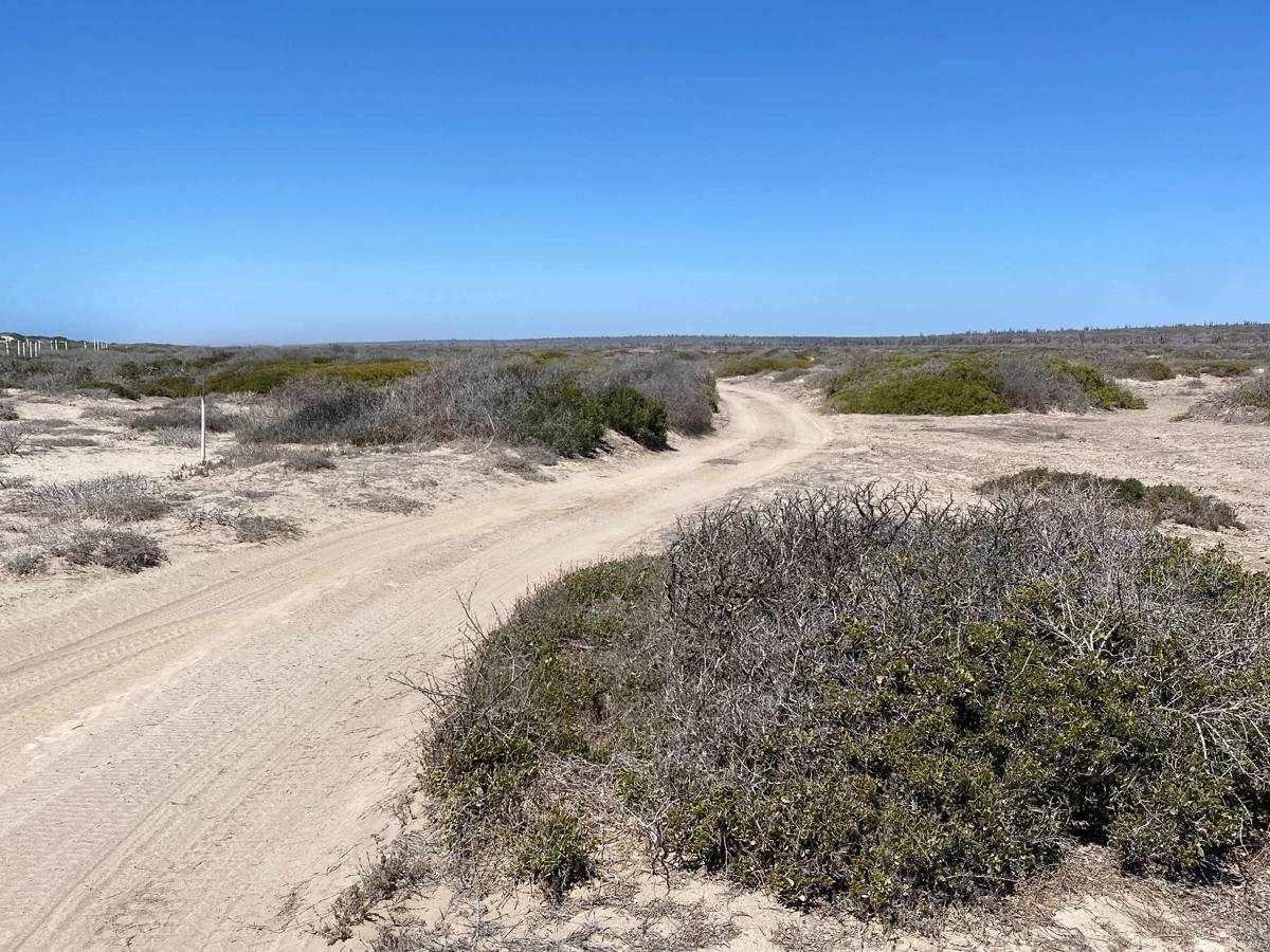 Rancho Progresso Coastal photo 2