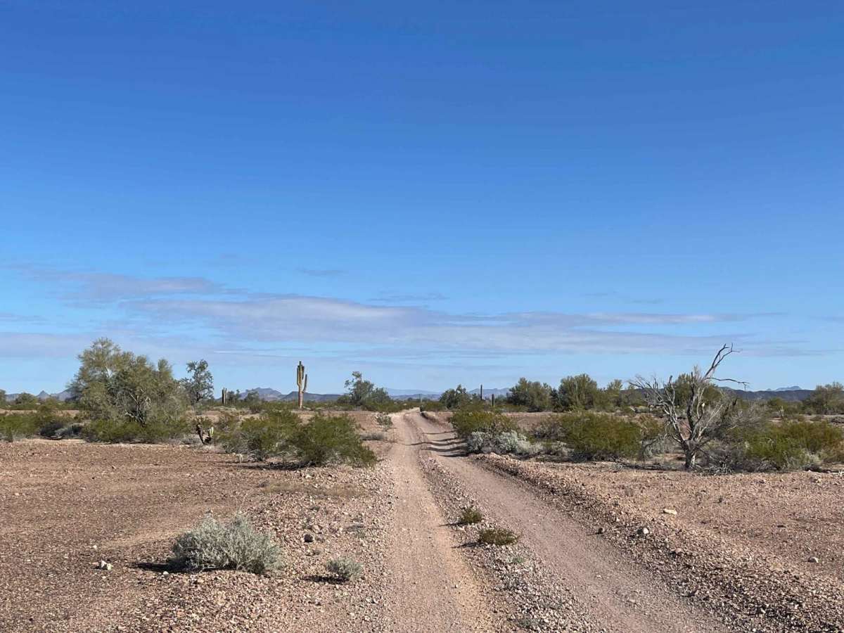 AZ Peace Trail Red Raven to Chicken Foot trail photo
