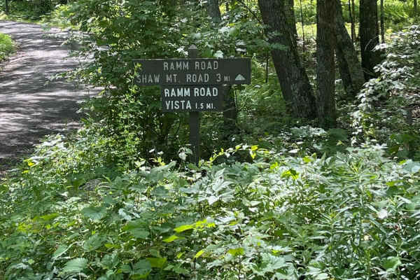 Ramm Road South