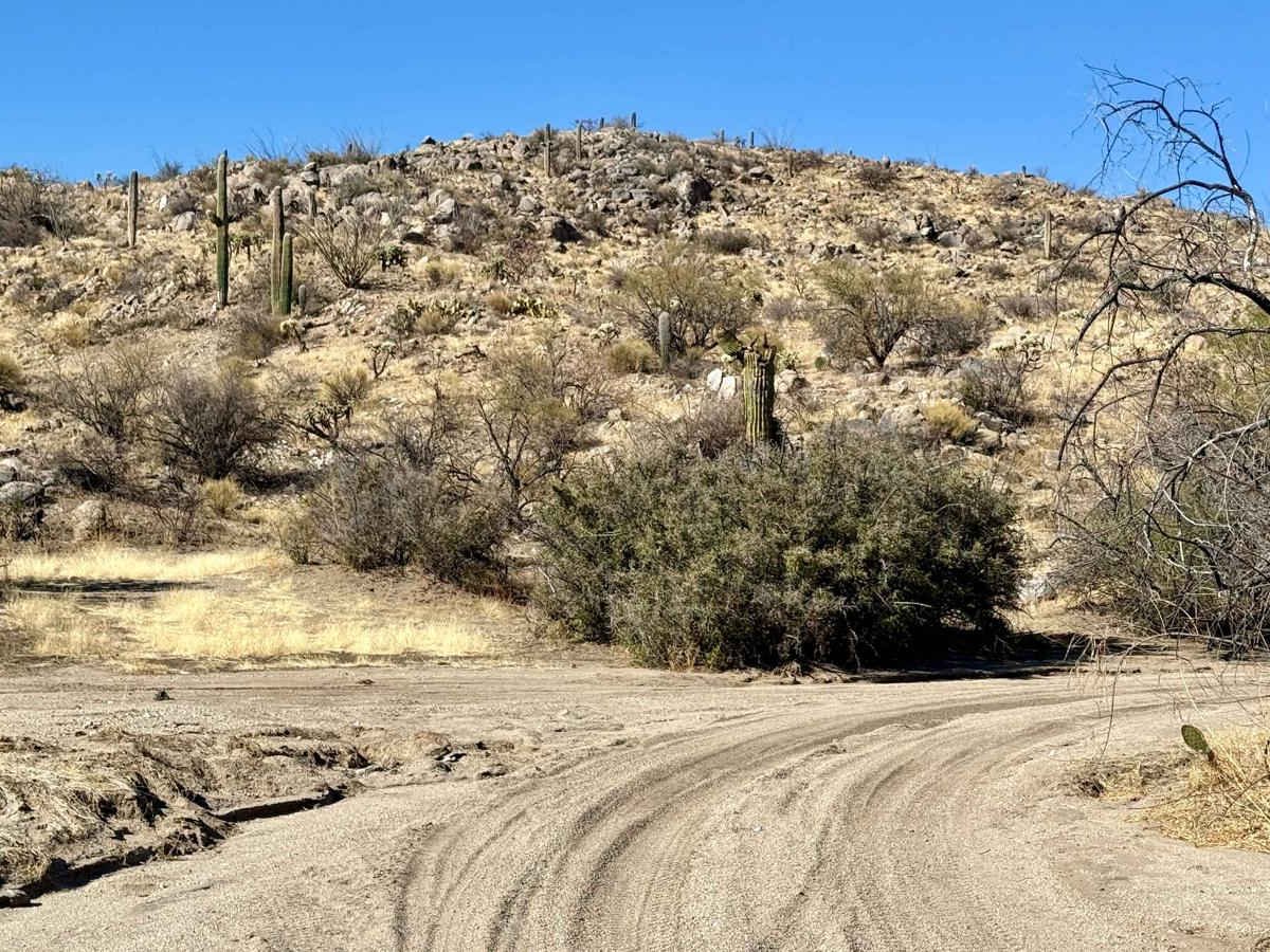 Miller Wash to the Lumpy Rocks photo 6