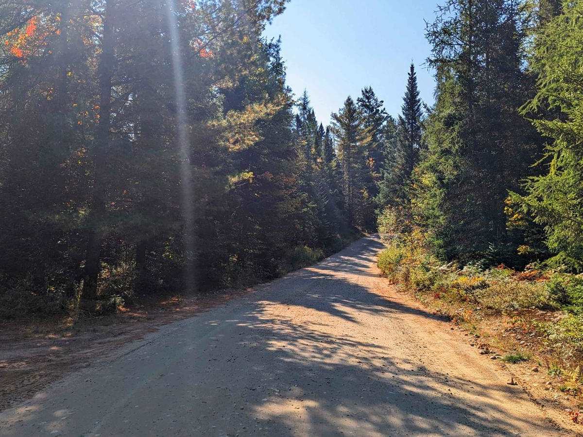 Limekiln Lake Trail photo 2