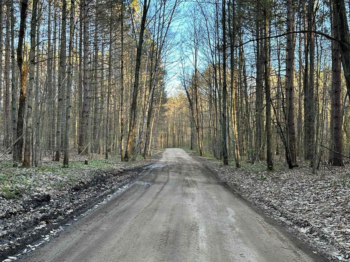 Cadillac Area ORV/OHV Scenic Ride - Part 21 photo 5