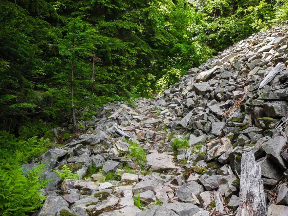 Graham Coal Connect trail photo