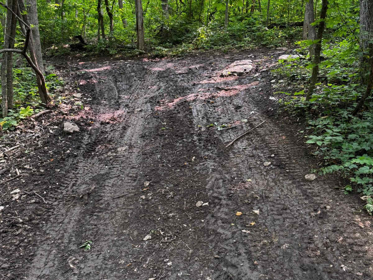 Yellow 61 trail photo