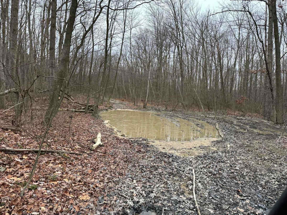 Locust Gap 24 trail photo