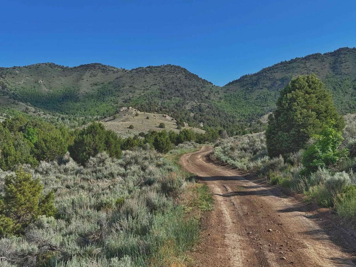 Prospector OHV Backway Complex trail photo