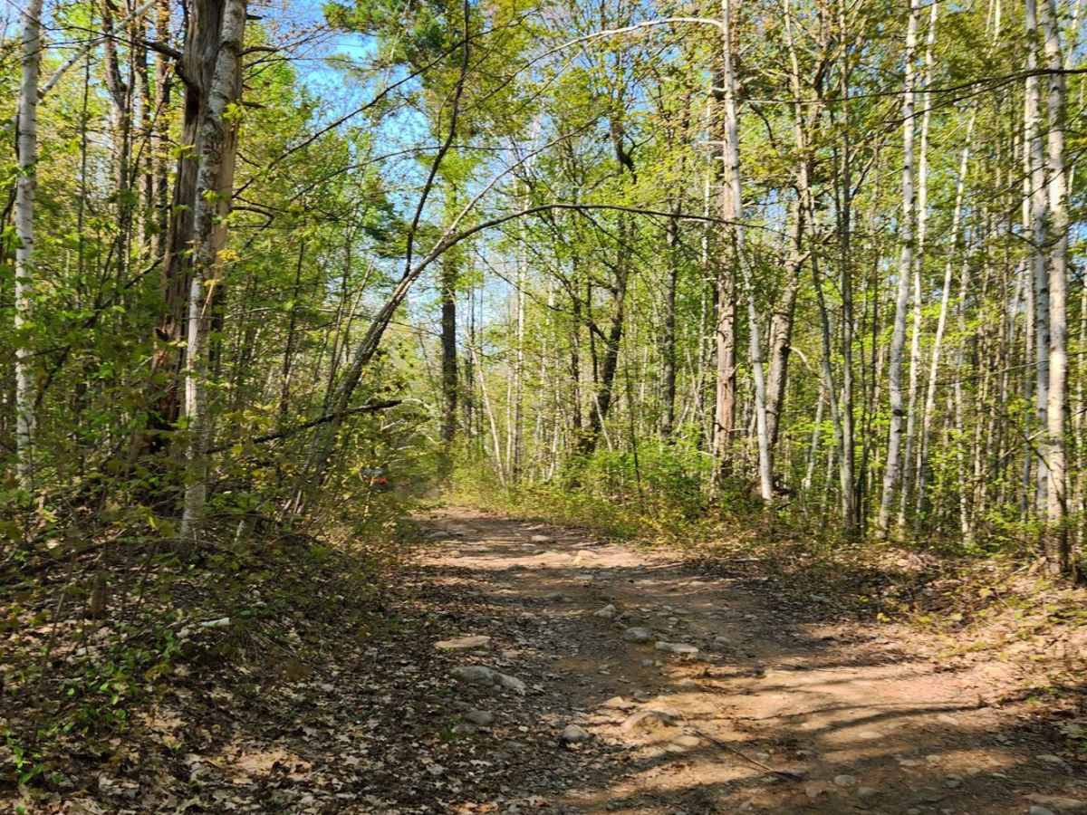 Tuscobia State Trail - Park Falls to Loretta photo 2