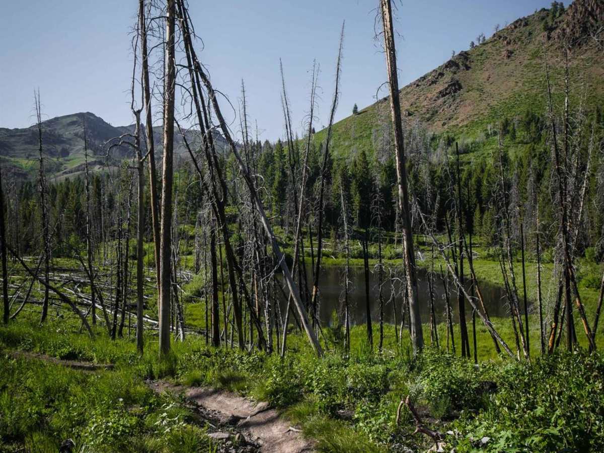 North Fork Deer Creek photo 2