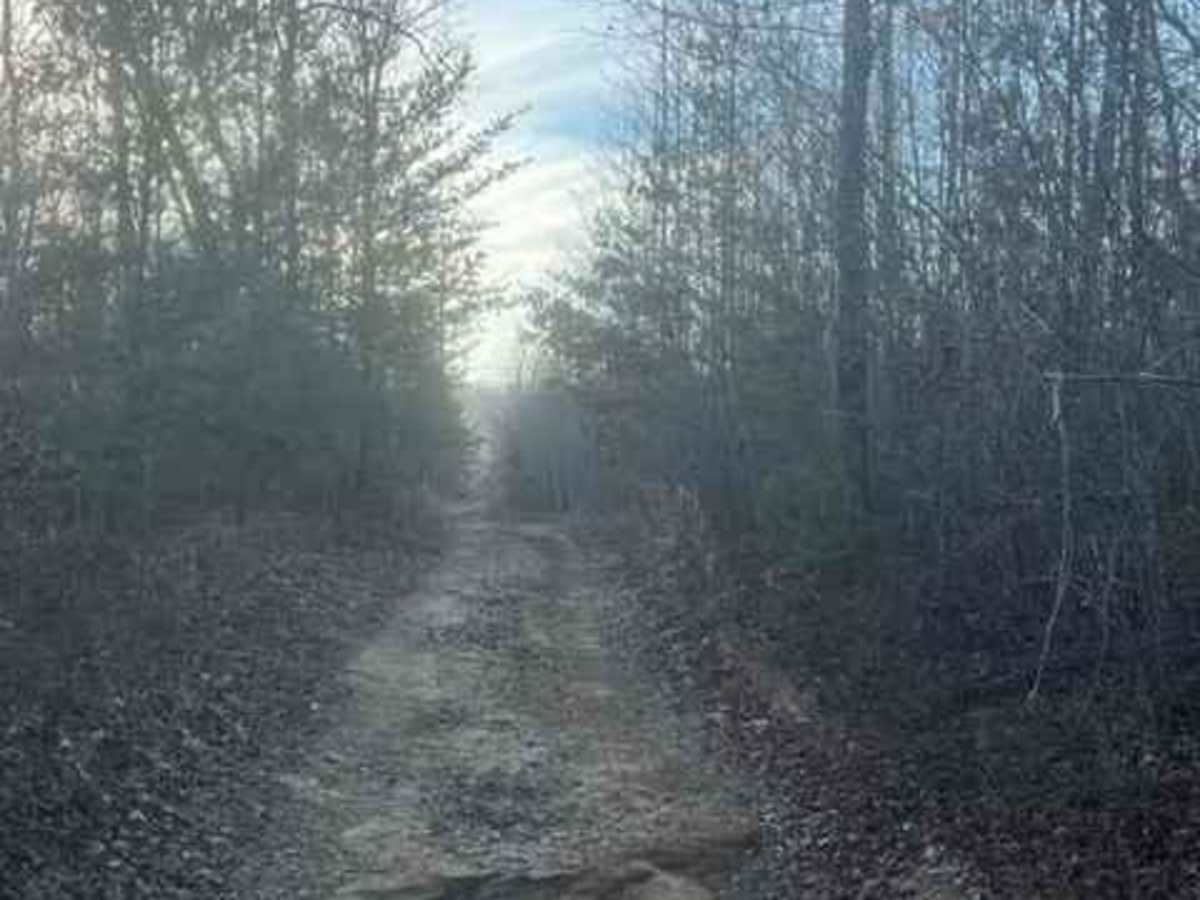 Coalmont OHV Company Farm Road photo 2
