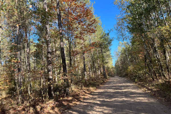 Trail 5- Forest Road 219