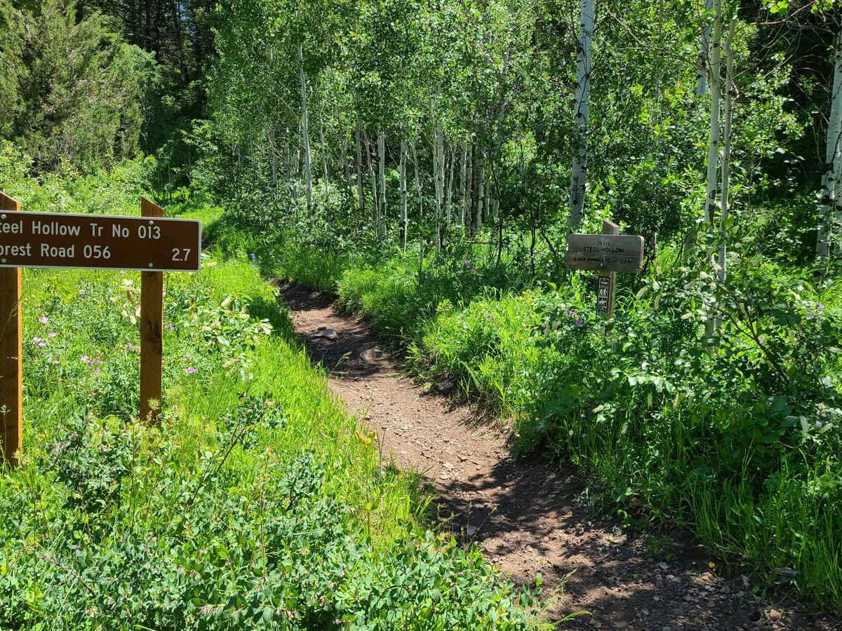 Steel Hollow photo 5