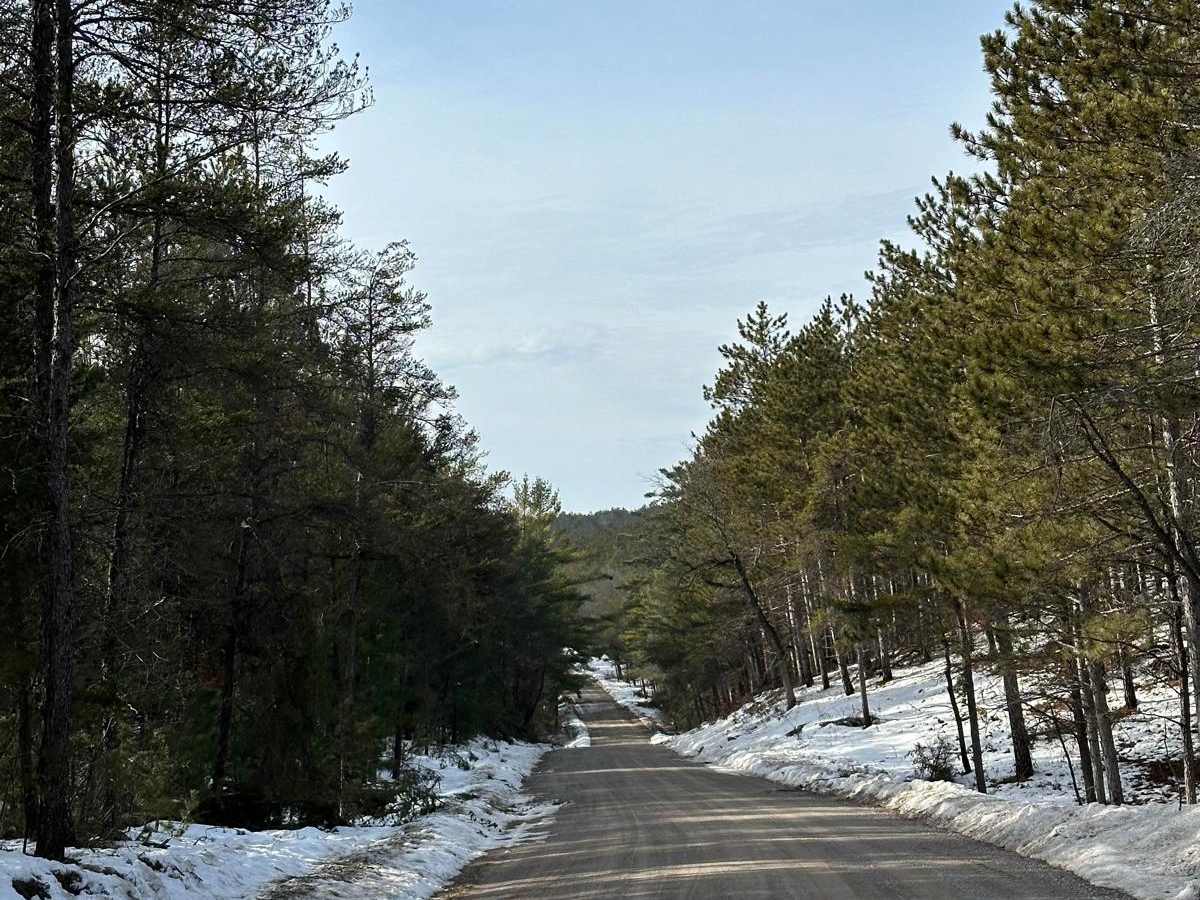 Shellenbarger Road photo 3