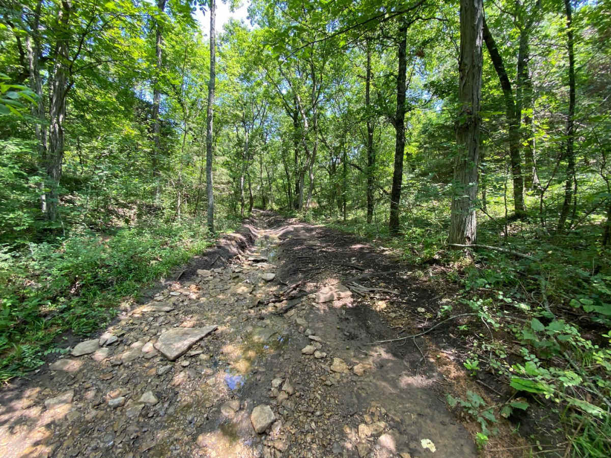 Creek Run photo 3