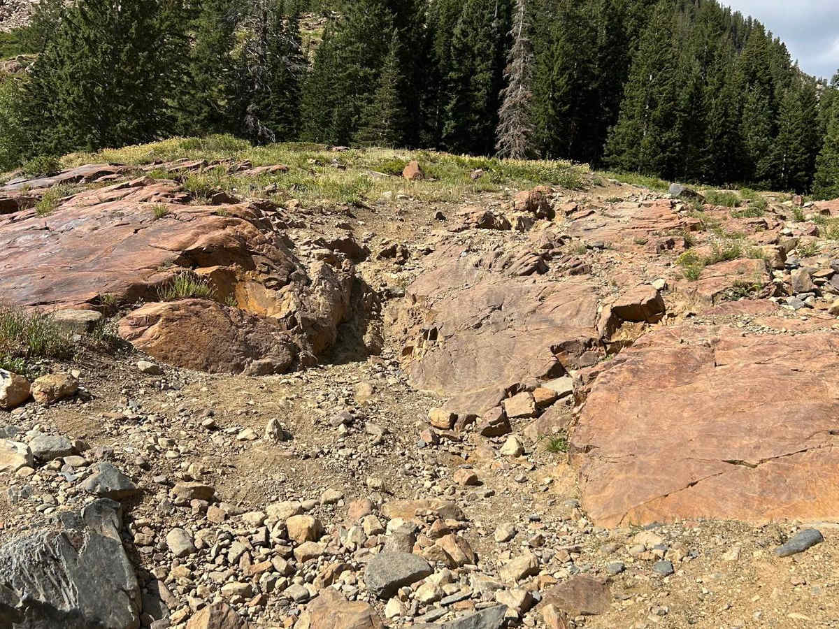 Mineral Basin Trail photo 4
